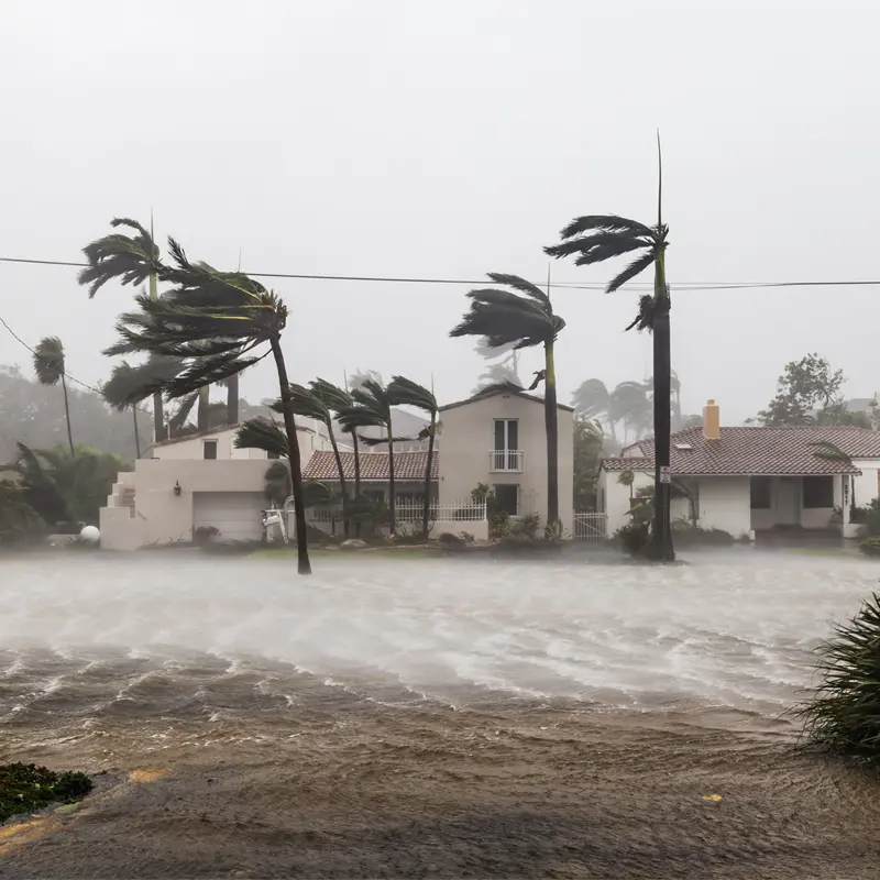 third image of our vision section in foundation site